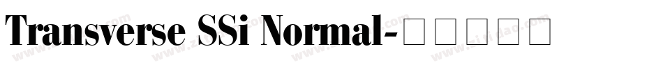 Transverse SSi Normal字体转换